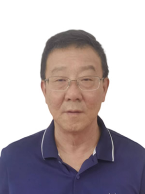 Shi Yanlei, Chief Engineer, Senior Engineer